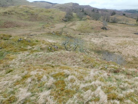 Ballygowan (Hillfort)