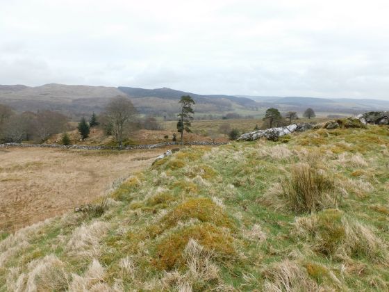 Ballygowan (Hillfort)