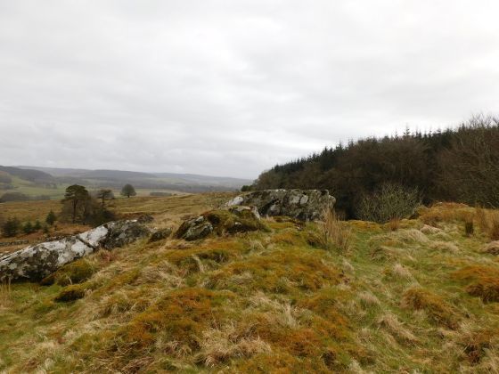 Ballygowan (Hillfort)