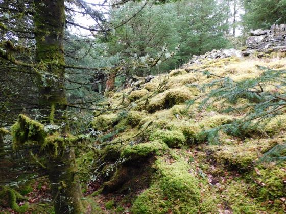Bàrr a’Chuirn (Cairn(s))