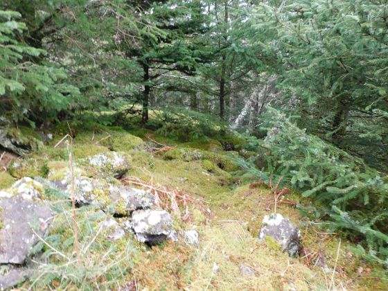 Bàrr a’Chuirn (Cairn(s))