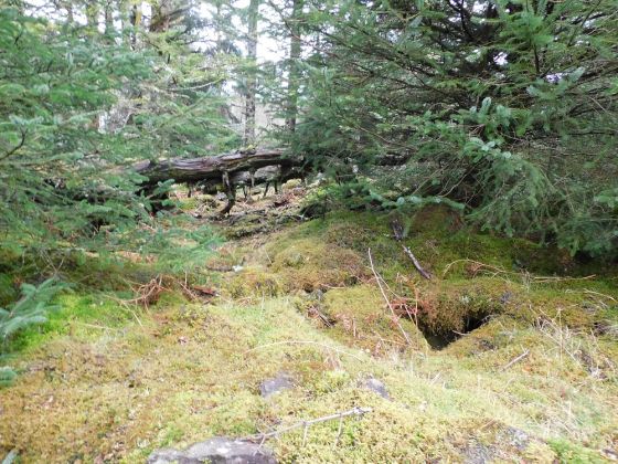 Bàrr a’Chuirn (Cairn(s))