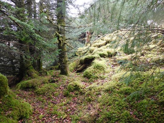 Bàrr a’Chuirn (Cairn(s))