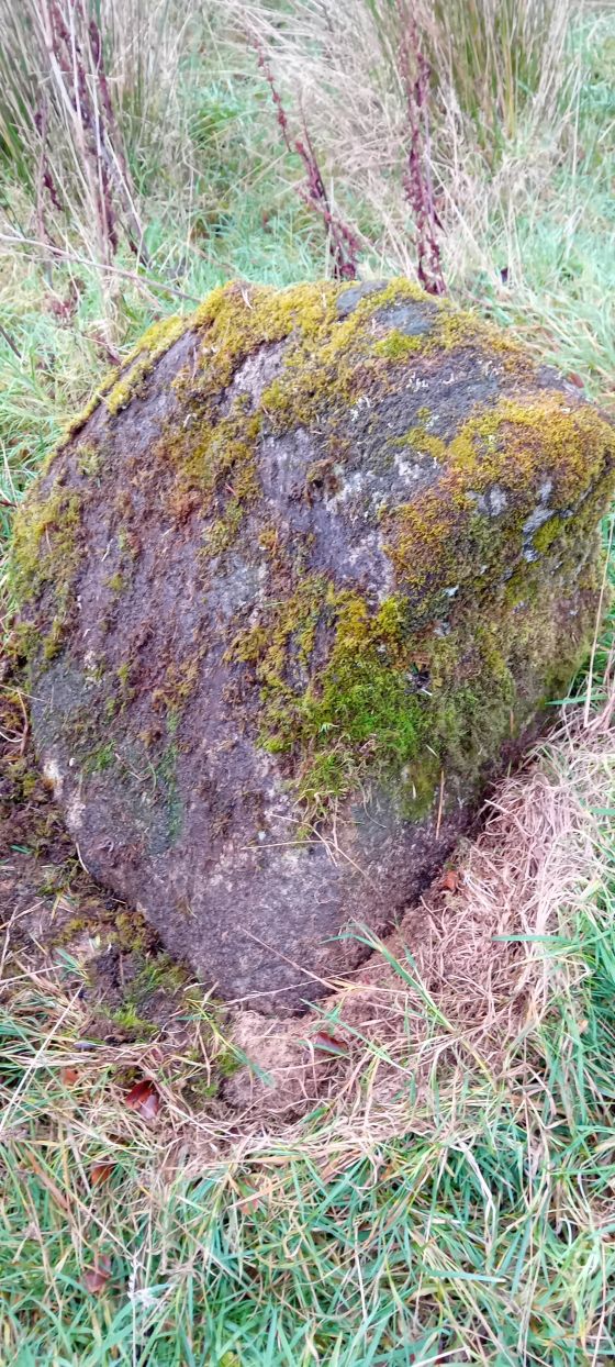 Pattenbringan / Pittenbrinzean (Standing Stones)