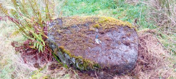Pattenbringan / Pittenbrinzean (Standing Stones)