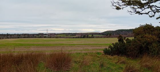 Pattenbringan / Pittenbrinzean (Standing Stones)