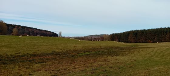 Deskford ritual centre (Ancient Village / Settlement / Misc. Earthwork)