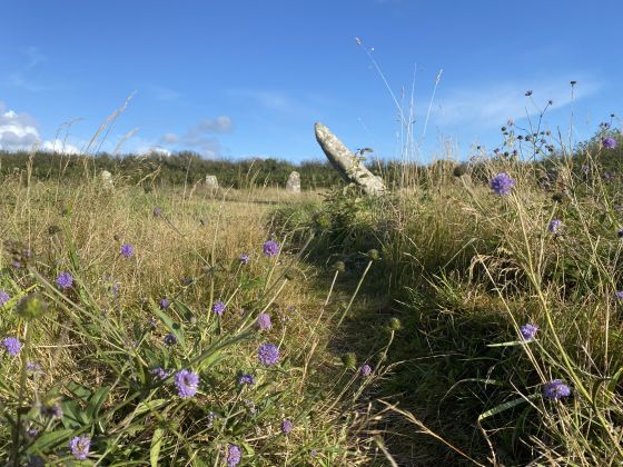 Boscawen-Ûn (Stone Circle)