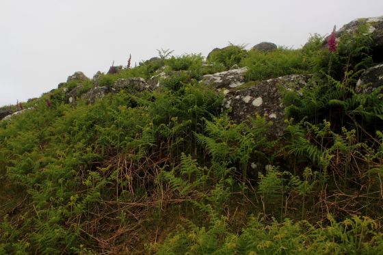Creigiau Gwineu (Hillfort)