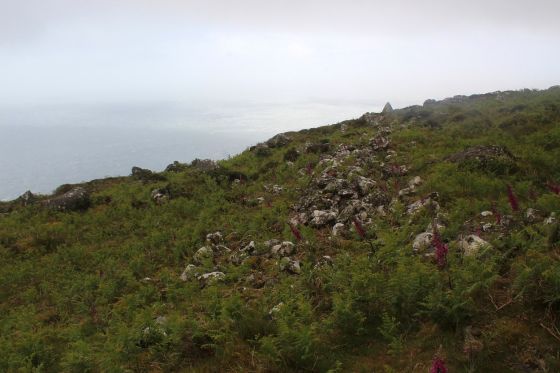 Creigiau Gwineu (Hillfort)