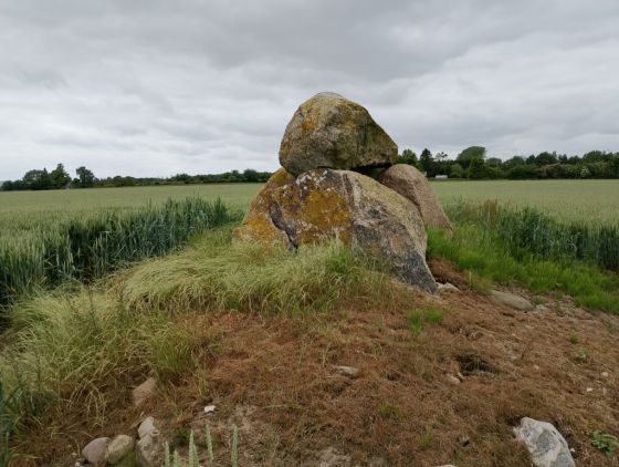 Vejstrup rundhøj (Dyssekammer)