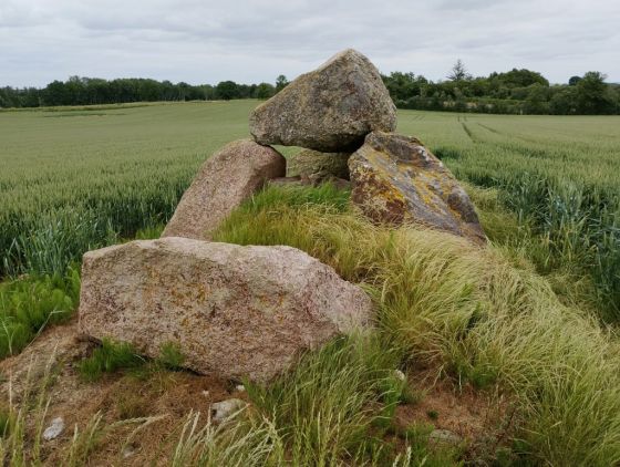 Vejstrup rundhøj (Dyssekammer)
