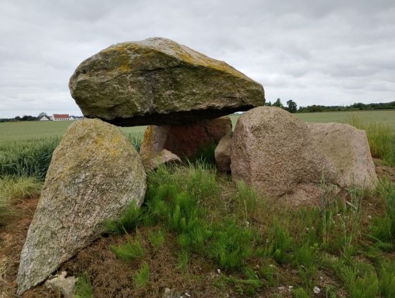 Vejstrup rundhøj (Dyssekammer)