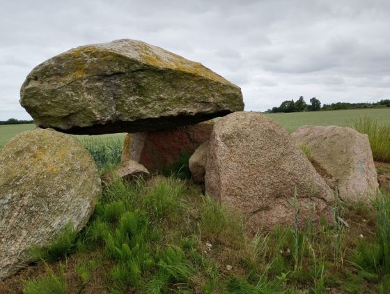Vejstrup rundhøj (Dyssekammer)