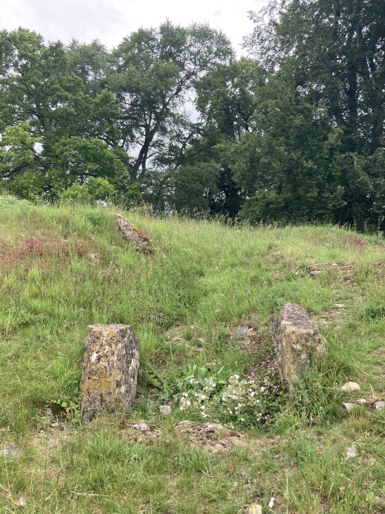 Windmill Tump (Long Barrow)