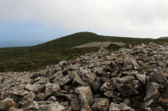 Mynydd Rhiw (Barrow / Cairn Cemetery)