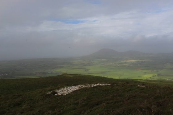 Mynydd Rhiw (Barrow / Cairn Cemetery)
