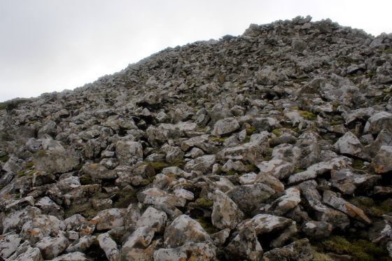Mynydd Rhiw (Barrow / Cairn Cemetery)
