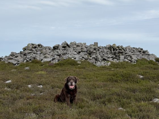 Treenearla Commons (Cairn(s))