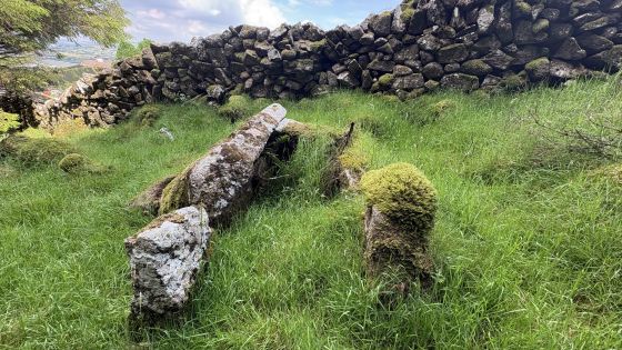 Clontygora (Chambered Tomb)