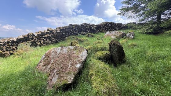 Clontygora (Chambered Tomb)