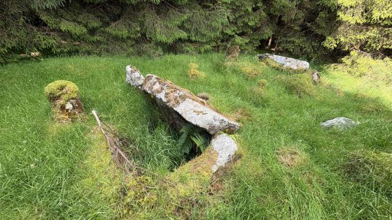 Clontygora (Chambered Tomb)