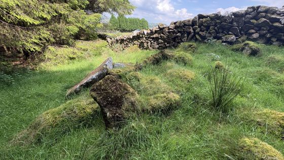 Clontygora (Chambered Tomb)