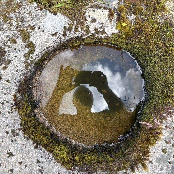 Edenappa (Bullaun Stone)