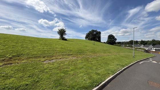 Mullaghglass (Standing Stone / Menhir)