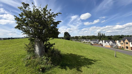 Mullaghglass (Standing Stone / Menhir)