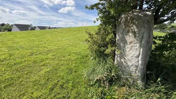 Mullaghglass (Standing Stone / Menhir)