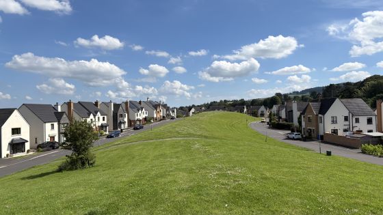 Mullaghglass (Standing Stone / Menhir)