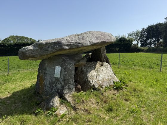 Ballynageeragh