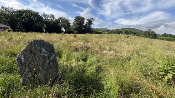 Rostrevor Standing Stone