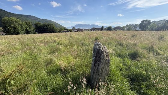 Rostrevor Standing Stone