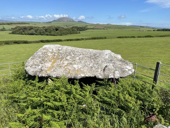 Penllech Coetan Arthur (Dolmen / Quoit / Cromlech)