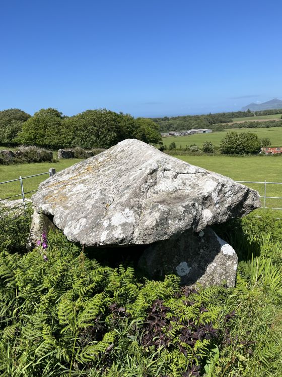 Penllech Coetan Arthur (Dolmen / Quoit / Cromlech)