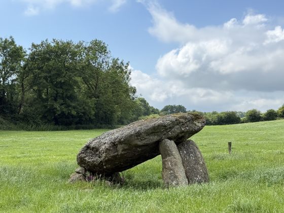 Ballyquin (Portal Tomb)