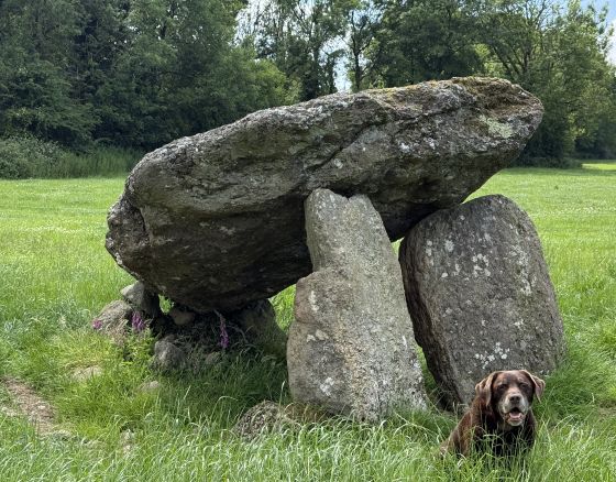 Ballyquin (Portal Tomb)