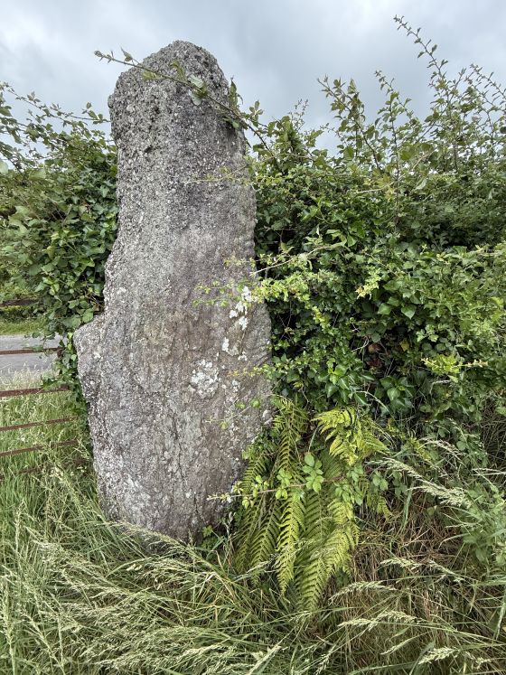 Ballyquin (Standing Stone / Menhir)