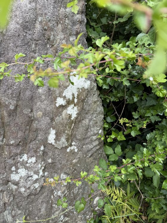 Ballyquin (Standing Stone / Menhir)