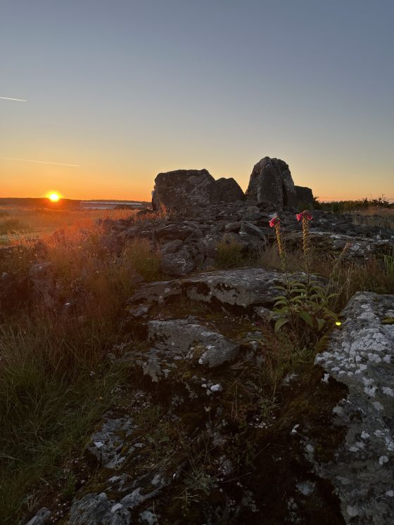 Trefignath (Chambered Cairn)