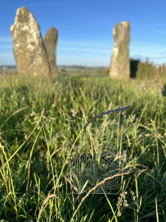 Mein Hirion (Standing Stones)