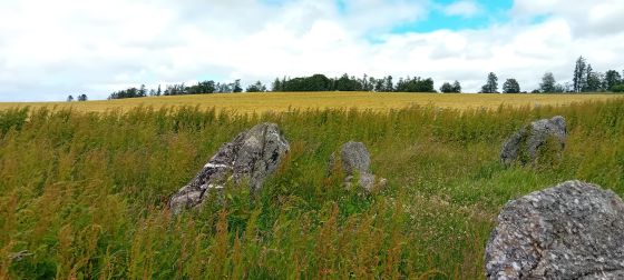 Backhill of Drachlaw (Stone Circle)