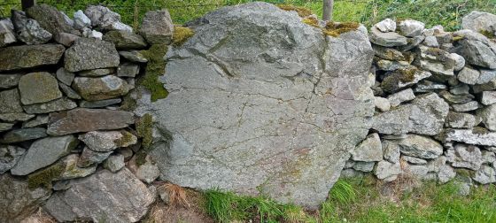 West Drachlaw (Stone Circle)