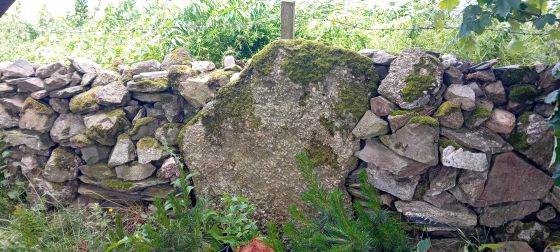 West Drachlaw (Stone Circle)