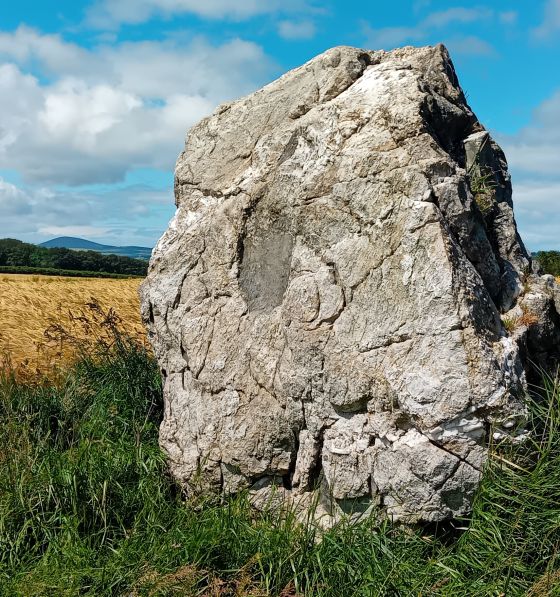 Carlin Stone (Standing Stone / Menhir)