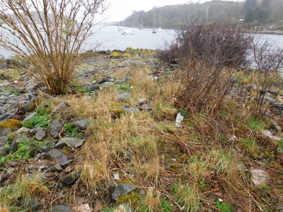 Eilean Carnaich (Cairn(s))