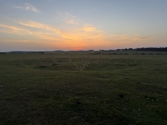 Curragh Ring Barrow 1 (Round Barrow(s))