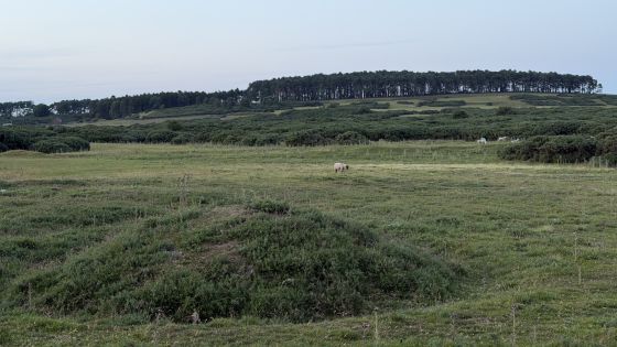 Curragh Bowl Barrows
